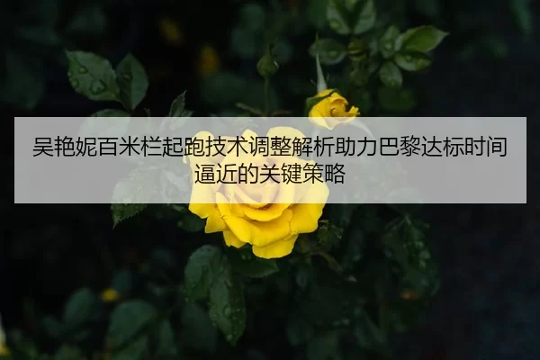 吴艳妮百米栏起跑技术调整解析助力巴黎达标时间逼近的关键策略